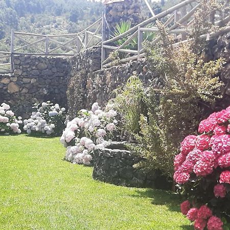 Casas Rurales Los Guinderos Ікод-де-лос-Вінос Екстер'єр фото